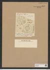 Actinoptychus splendens (Ehr.) Shadb. (de-Toni-Nr.: Genus 227, Species 5568) Zeichnungen Sammlung Grunow Nr. 9610 (NHMW-BOT-W0379428)